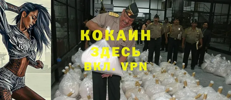 как найти   Болохово  Cocaine 99% 